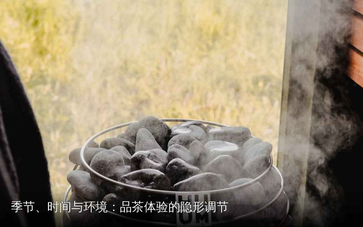 季节、时间与环境：品茶体验的隐形调节
